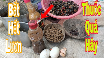 Bí quyết làm mồi lươn, Đặc đâu cũng vô đầy ống trúm