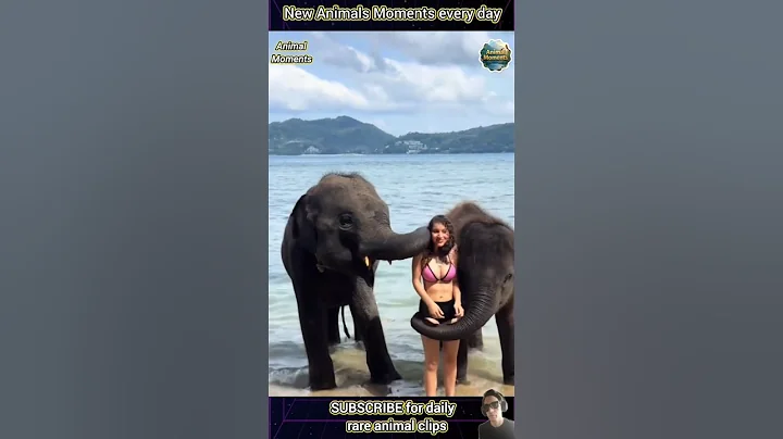 18 AMAZING Animal Clips You MUST See! thumbnail
