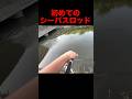 【シーバス初心者入門ロッドが購入初日から大活躍‼︎】バス釣り
