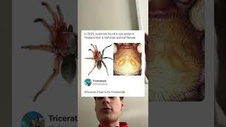 Ofcourse It Had To Be Thailand