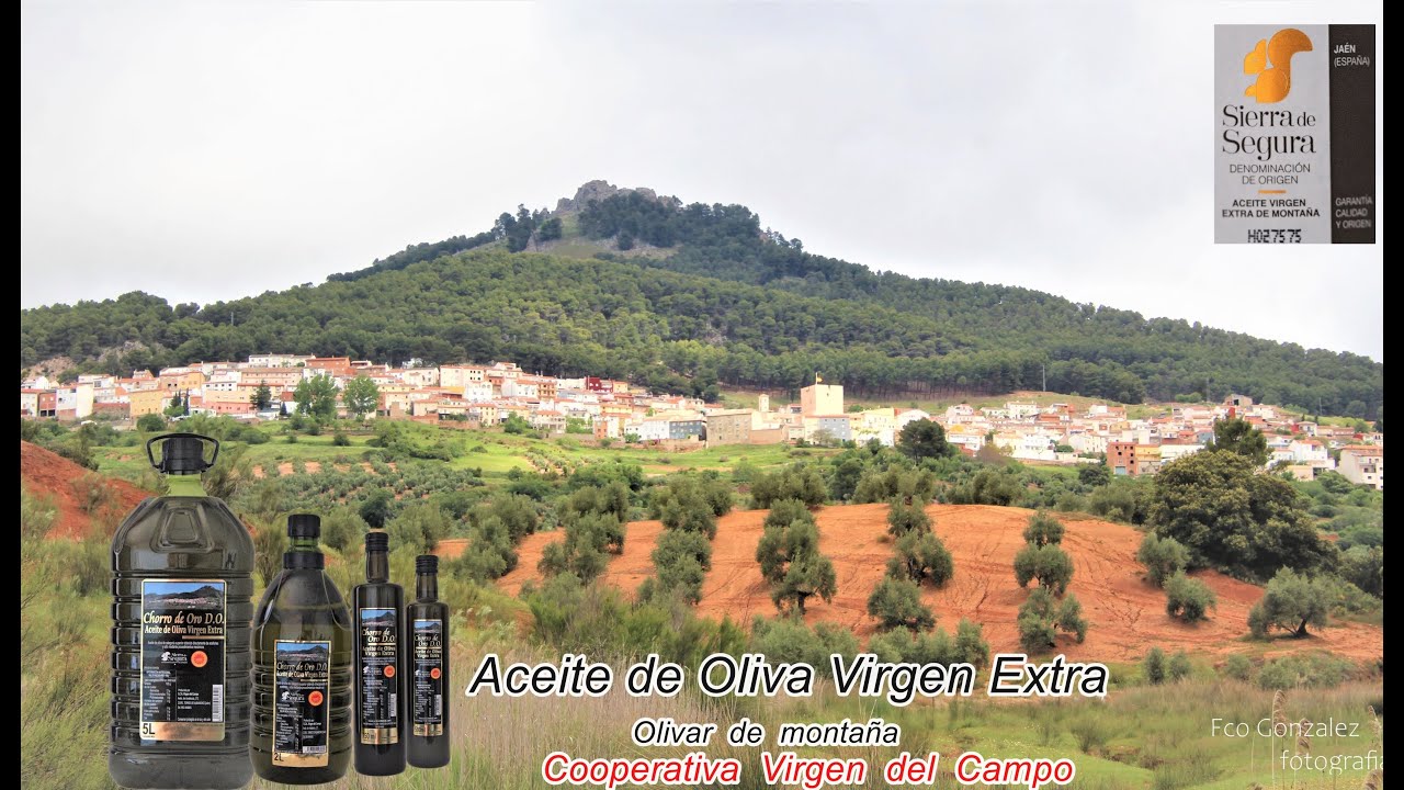 ACEITE DE OLIVA CHORRO DE ORO