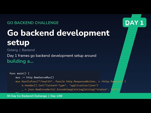 Go backend development setup - Day 1/60 60 Day Go Backend Engineering Challenge