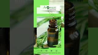 Get 100% Pure Rosemary Essential Oil- Aromaaz international