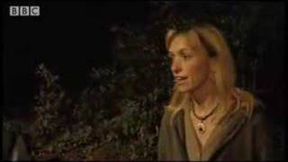 Reluctant baby elephant - BBC wildlife