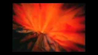 Spiritualized - I Want You (Instrumental Long Mix)