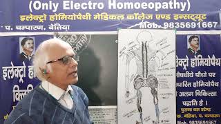 Soleus Muscle और Gastrocnemius Muscle एवं E.H. मेडिसिन viralvideoelectropathy alternativemedicine