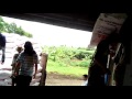 samson kampung