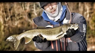 Mike Iaconellis Favorite Lures For Lake Trout And B In Cold Water Conditions