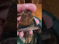 Owyhee Jasper, Agate and opal slices, 365nm uv reactions and phosphorescence