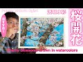 【桜開花🌸】水彩で描く桜開花宣言！[Sakura flowering 🌸] Declaration of cherry blossoms drawn in watercolor!