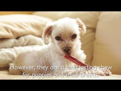 Videó: A Natural Dog Company Tremenda Sticks Visszahívása