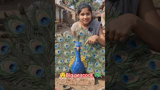 Big Peacock Made From Clay 😲 Beautiful Art ❤️ #shorts #trending #peacockart #viral #girl