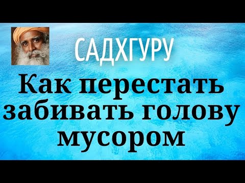 Видео: Садхгуру - Как перестать забивать голову мусором