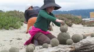 Sand Globe Art Making and Beach Clean Up at Albany Beach - February, 2015