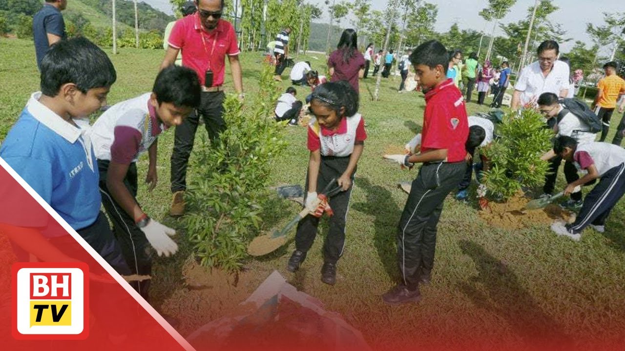 Kempen Tanam 100 Juta Pokok Dikaji Semula YouTube kempen-tanam-100-juta-pokok-dikaji-semula-youtube