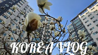 Korea home vlog / Домашний влог из Кореи / Распаковка продуктов / Цены / Цветение вишни / БОЛТАЛКА .