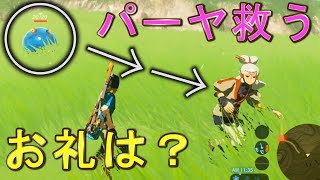 パーヤちゃんを魔物から救ったらお礼に何かくれるのか？【ゼルダの伝説ブレスオブザワイルド】検証　実況