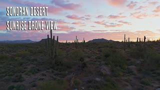 Vibrant Arizona Sunrise Drone Footage | Sonoran Desert Landscape | Available for Licensing