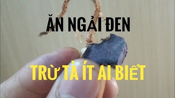 trị tà từ cây ngải đen, tin sẽ thấy, ăn ngải đen trị bệnh.