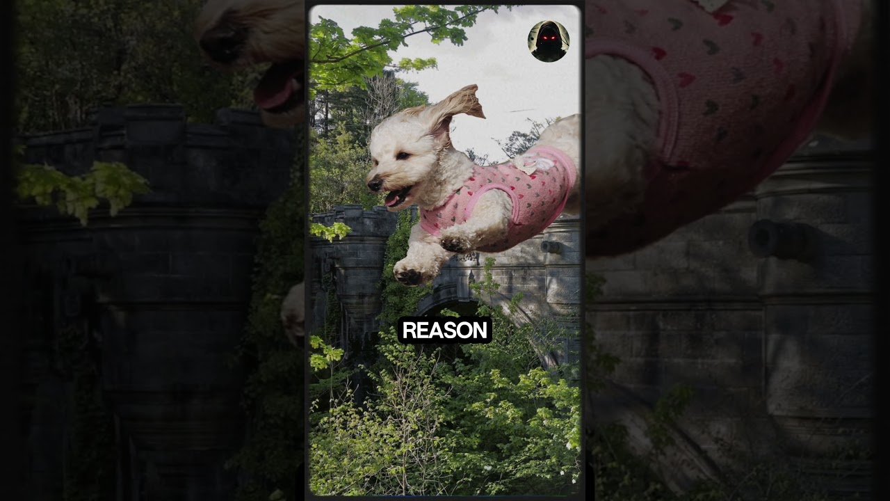 The Overtoun Bridge Suicides Scotland 