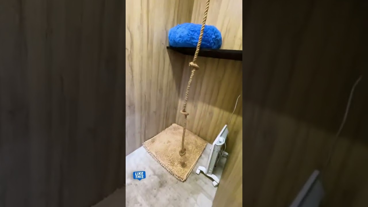 Лемуры Марго и Джулиан оценили новый вольер 😻