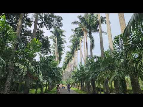 ايه اليوم الحلو ده احمد سعد