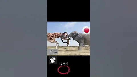 What Happens When Giraffes And Elephants FIGHT For Water?