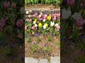 See the Colors of Spring at the Garden of the Morning Calm!