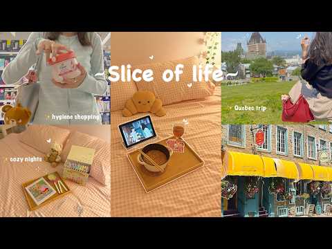 Days In My Life 🥐✨ Hygiene Shopping, Trip To Quebec, Chill Days, Cozy Nights