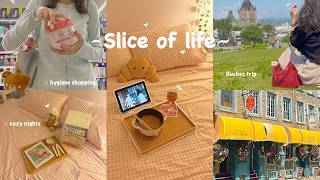 Days in my life 🥐✨ hygiene shopping, trip to Quebec, chill days, cozy nights screenshot 2