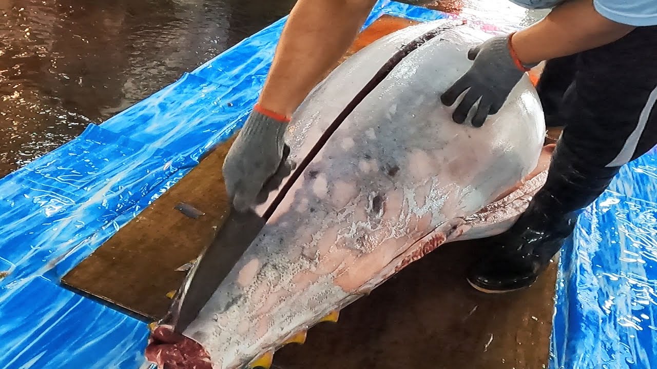 Extremely Giant Bluefin Tuna Super Cutting Skill YouTube