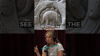 Did Human Consciousness Peak 12,000 Years Ago Joe Rogan and Cassie Coppersmith