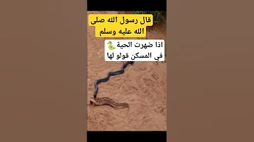 قال رسول الله صلى الله عليه وسلم إذا ضهرت لك الحية في المسكن قولو هاذا الدعاء 