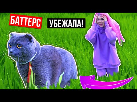 ВЫГУЛИВАЕМ КОШКУ | КОШКА НА УЛИЦЕ | БАТТЕРС УБЕЖАЛА!