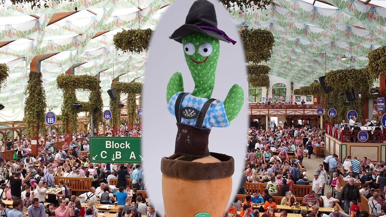 wüstenpflanze kaktus Miqueliopuntia miquelii SAMEN main image 1