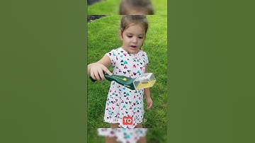 How to Trap Bugs Without Touching Them