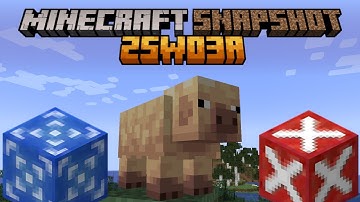 Minecraft 1.21.5 - 25w03a - Test Blocks!?