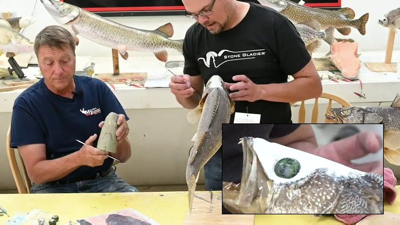 Изучение таксидермии: Часть 7: Изготовление чучела судака от А до Я