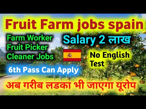 Spain 🇪🇸 Fruit Farm Jobs | Flight | Food | Accommodation By company | Free work visa spain