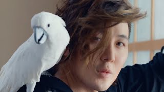 Guy Tang - We Can Make Up Ft. Jordan James (Official Music Video)