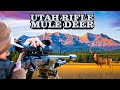 The rifle hunt of a lifetime utah mule deer hunt