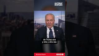 Chuck Schumer admits that judges are actually activists who are there to stop Trump