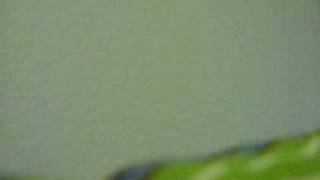 Every Heart Minna no Kimochi BoA sung by Me