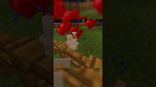 These Chickens Deserved Better...