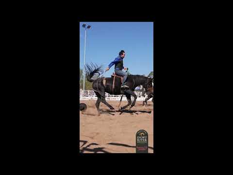 HorseyPeople Stocksaddle Buckjump