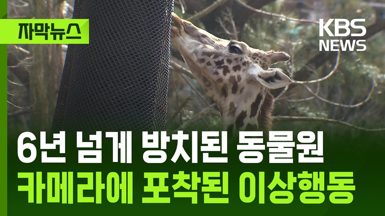 [자막뉴스] 6년 넘게 방치된 동물원…카메라에 포착된 이상행동 / KBS 2026.02.26.