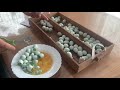 Селадон.Инкубационные Яйца почтой от Эко Ферма мои перепела,итоги инкубации .27 октября 2020 г.