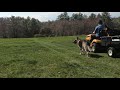 Mowing the Back Yard with my Two German Shepherds