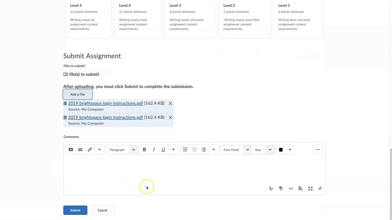 submitting assignments in brightspace