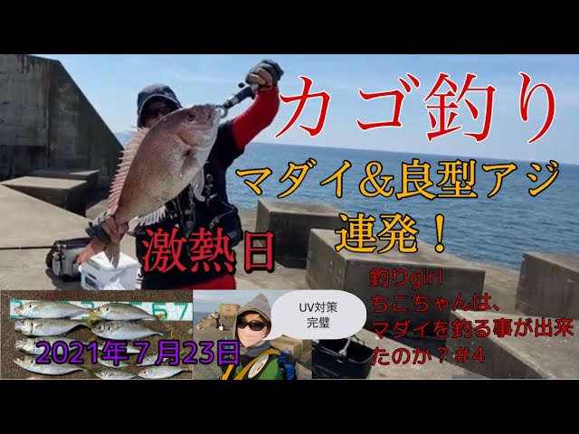 カゴ釣りマダイ 尺アジ連発 ちこちゃんマダイを釣る事が出来たのか カゴ釣り遠投 カゴ釣りマダイ カゴ釣りアジ Youtube カゴ釣りマダイ 尺アジ連発 ちこちゃんマダイを釣る事が出来たのか カゴ釣り遠投 カゴ釣りマダイ カゴ釣りアジ Youtube